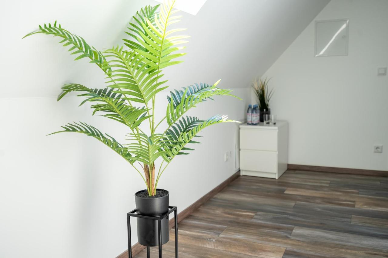 Xxl Superior Apartment 1 - 10 Personen カシュトロップ・ラウクセル エクステリア 写真